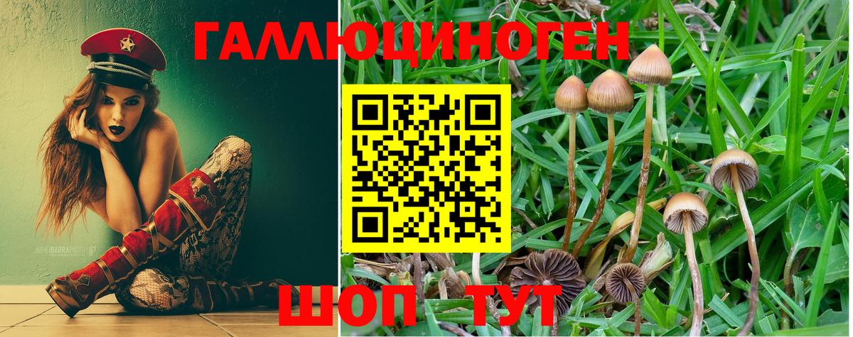 Галлюциногенные грибы MAGIC MUSHROOMS Октябрьский